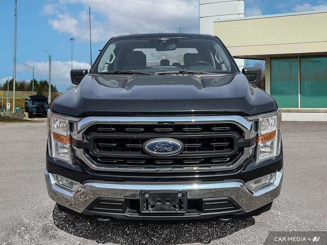 2021 Ford F-150 XLT | 301A | TOWING PKG | NAVIGATION | CHROME in Cars & Trucks in Kitchener / Waterloo - Image 3