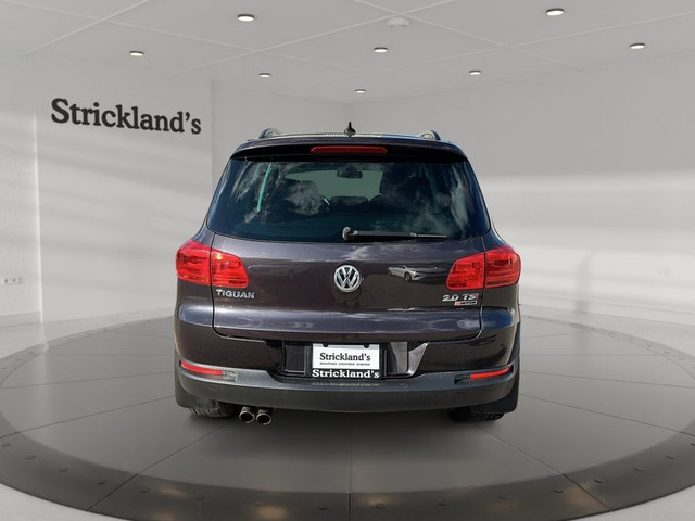 2016 VOLKSWAGEN TIGUAN TRENDLINE in Cars & Trucks in Stratford - Image 4
