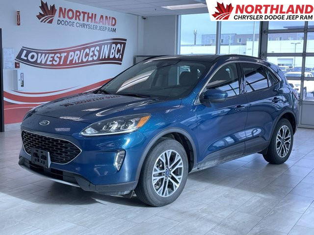 2020 Ford Escape SEL | AWD | Leather | Sunroof | Backup Camera in Cars & Trucks in Prince George