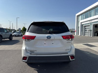 Cooled Seats, Premium Audio, Navigation, Sunroof, Leather Seats! This Toyota Highlander is ready for... (image 6)