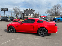 Engine: 5.0L V8 DOHC 32V L/100Km City: 13.8 L/100Km Hwy: 7.9 Safety Equipment ABS And Driveline Trac... (image 5)