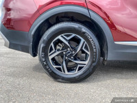 Straightline Kia Packagae: Block Heater, Wheel Locks, $3,000 Security Etch, 1st Oil Change, Professi... (image 7)