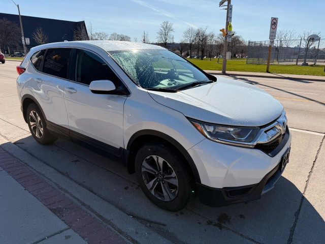 2019 Honda CR-V LX AWD in Cars & Trucks in Hamilton - Image 4