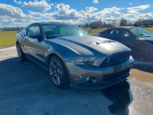  2010 Ford Mustang Shelby GT500 *5.4L Supercharged 32V, Manual T in Cars & Trucks in Kawartha Lakes - Image 2