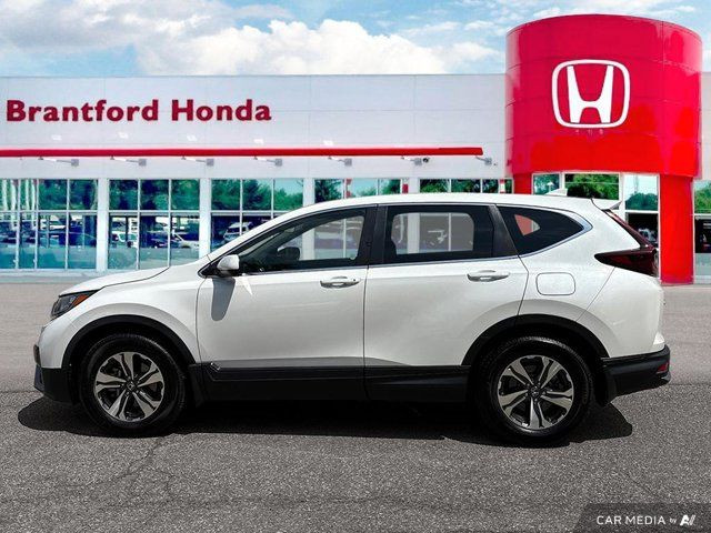 2020 Honda CR-V LX in Cars & Trucks in Brantford - Image 2
