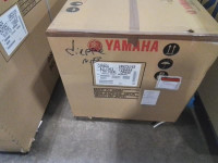 2024 Yamaha TT-R 110