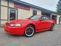 2002 Ford Mustang .