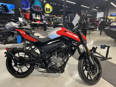 2025 CFMOTO 300NK - PLUS $499 DEALER PREP 2025 CFMOTO 300NKTwist the throttle and the 292cc heart aw...