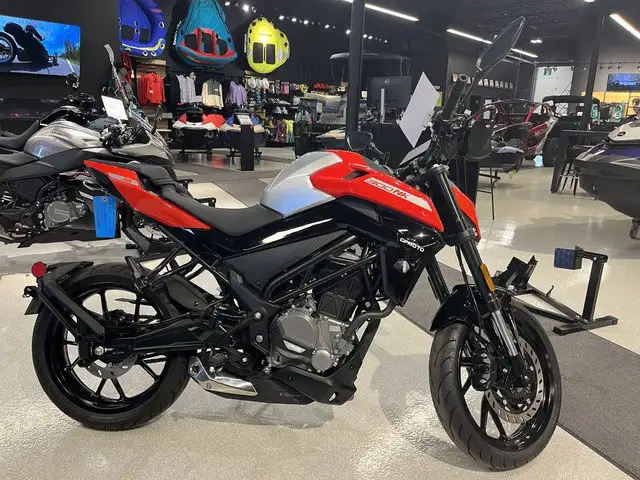 2025 CFMOTO 300NK in Street, Cruisers & Choppers in Calgary - Image 2