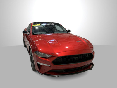 2022 Ford Mustang EcoBoost Fastback for sale