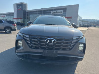 Heated Seats, Apple CarPlay, Android Auto, Heated Steering Wheel, Adaptive Cruise Control! SALES HOT... (image 7)