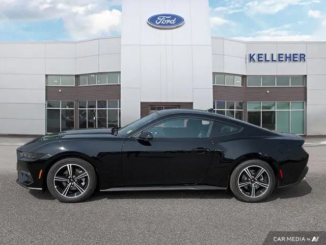 2025 Ford Mustang EcoBoost in Cars & Trucks in Brandon - Image 3
