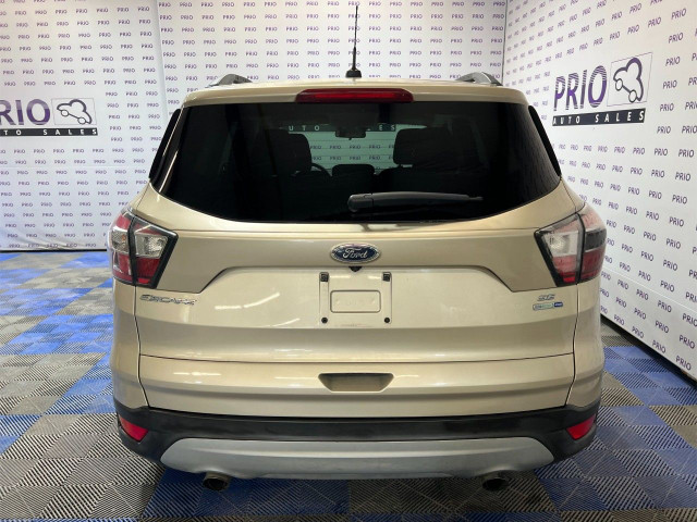 2017 Ford Escape in Cars & Trucks in Ottawa - Image 4