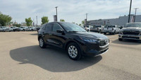 This Ford Escape is equipped with: Cloth Seats Trim, Radio: AM/FM Stereo w/SiriusXM, 8 Inch Touchscr... (image 2)