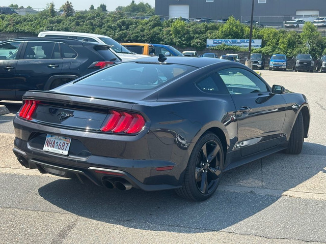 2022 Ford Mustang EcoBoost Premium RWD | FASTBACK | PERFORMANCE  in Cars & Trucks in Saint John - Image 3