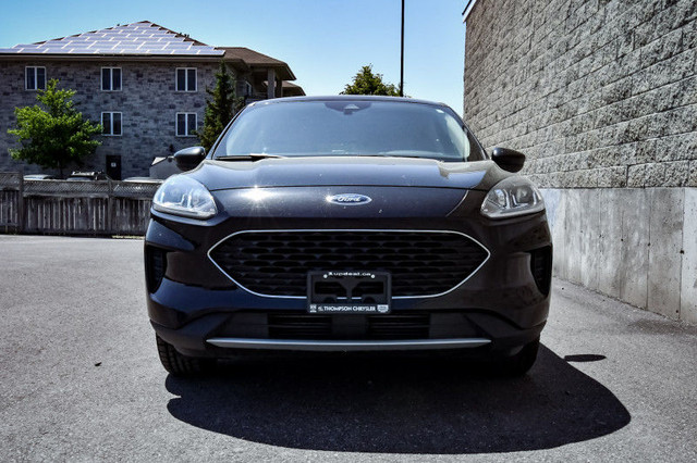2020 Ford Escape SE • HEATED SEATS • CP/AA • NAV • PARK ASSIST in Cars & Trucks in Kingston - Image 4