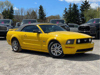 2005 Ford Mustang GT V8 Convertible Automatic RWD 5-Speed Automatic with Overdrive 4.6L V8 OHC 24V M... (image 7)