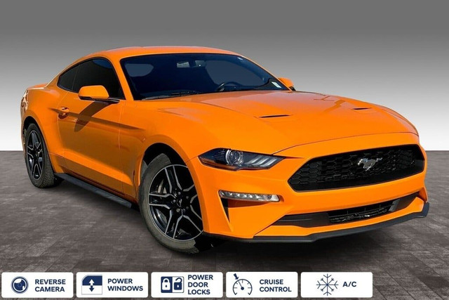 2019 Ford Mustang PREMIUM in Cars & Trucks in Edmonton - Image 2