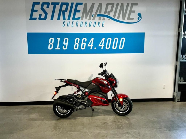 2023 Scootterre AR50 in Scooters & Pocket Bikes in Sherbrooke - Image 2
