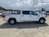 F-150 XLT 4WD SuperCrew 6.5' Box, 17" Aluminum Wheels, 5.0L V8 Gasoline Engine, 10-Speed Automatic T... (image 5)
