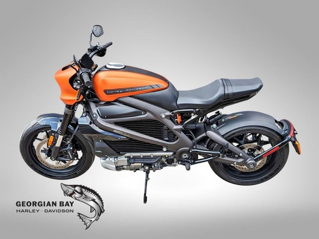 2020 Harley-Davidson ELW - LiveWire in Sport Bikes in Owen Sound - Image 2