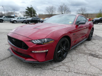 2021 Ford Mustang GT | Heated Seats | Backup Cam | Apple Car Pla