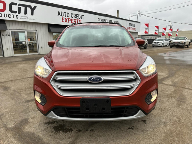 2019 Ford Escape SEL FWD - Power Liftgate - Park Assist in Cars & Trucks in Saskatoon - Image 3
