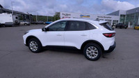 All Wheel Drive. Cloth Interior. Touchscreen. Bluetooth. Remote Start. Rear View Backup Camera. Push... (image 6)