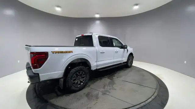 2025 Ford F-150 Tremor in Cars & Trucks in Strathcona County - Image 10