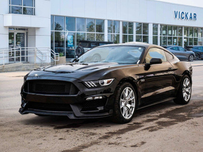  2015 Ford Mustang Fastback GT Premium 50th Anniversary Edition 