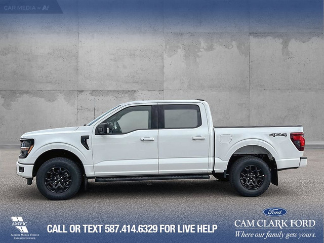 2025 Ford F-150 XLT in Cars & Trucks in Calgary - Image 4