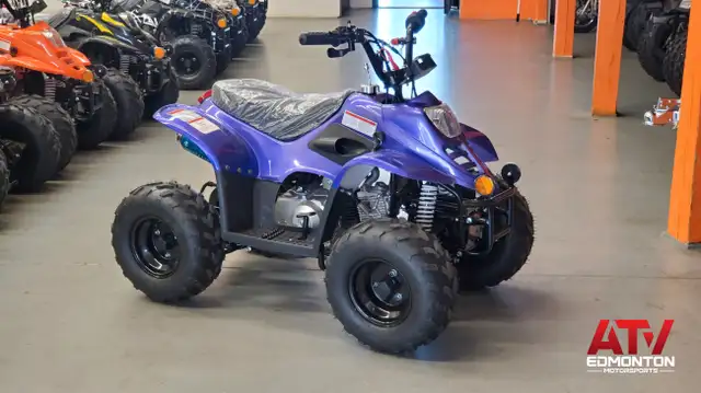 2024 Gio Blazer 110P Premium model/Gas quad for kids/Remote cont in ATVs in Edmonton - Image 3