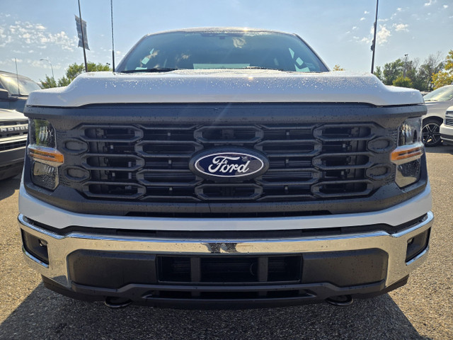 2025 Ford F-150 XL | RUNNING BOARDS | REAR VIEW CAM | BLIS | SYN in Cars & Trucks in Calgary - Image 3