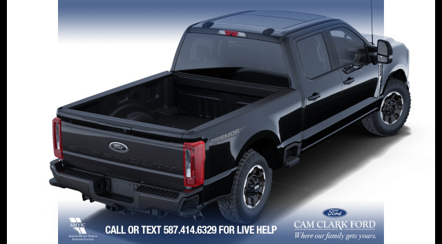 2025 Ford F-250 XLT in Cars & Trucks in Calgary - Image 4
