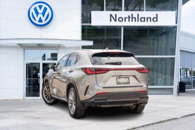 2022 Lexus NX NX 350h in Cars & Trucks in Calgary - Image 4