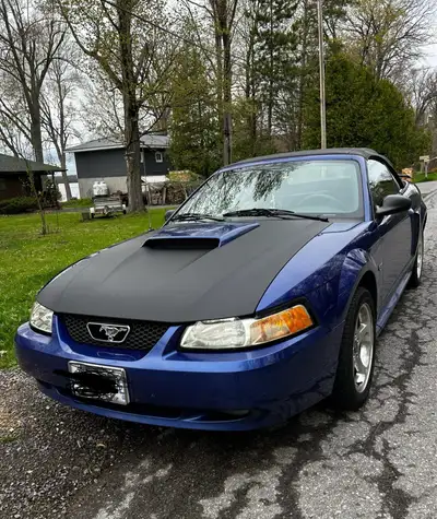2003 Ford Mustang GT Convertible 