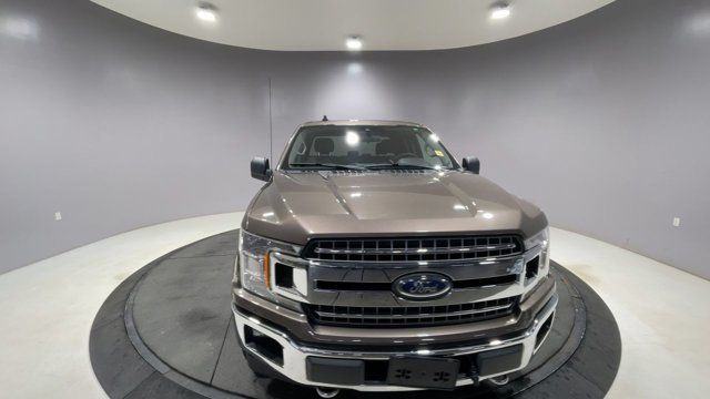 2019 Ford F-150 XLT - CLEAN CARFAX in Cars & Trucks in Strathcona County - Image 3