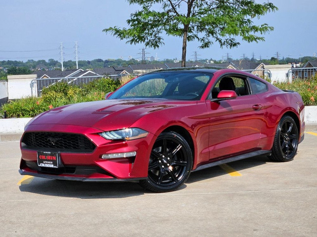 2019 Ford Mustang ECOBOOST FASTBACK-AUTO-CARPLAY-CAMERA-NEW TIRE in Cars & Trucks in City of Toronto