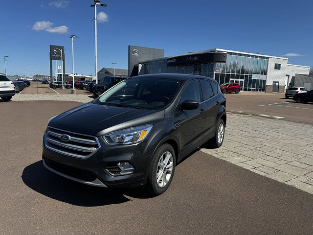 2019 Ford Escape SE in Cars & Trucks in Moncton
