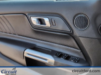 La Ford Mustang décapotable 2023 incarne l'élégance sportive à ciel ouvert. Son moteur 2.3L EcoBoost... (image 9)