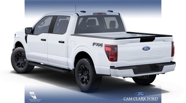 2025 Ford F-150 STX in Cars & Trucks in Red Deer - Image 2