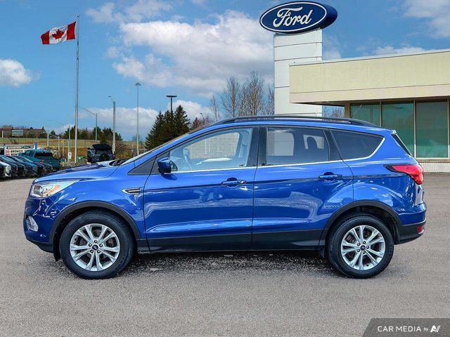 2019 Ford Escape SEL in Cars & Trucks in Kitchener / Waterloo - Image 4