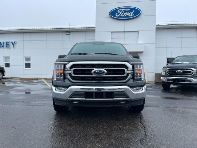  2021 Ford F-150 XLT in Cars & Trucks in Saint John - Image 2