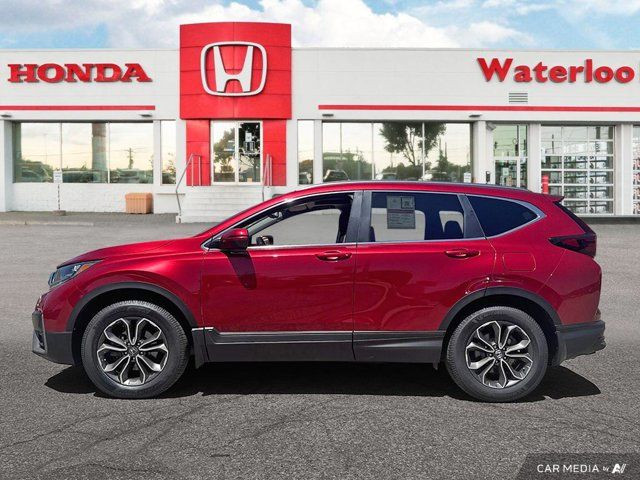 2020 Honda CR-V EX-L | AWD | ACCIDENT FREE | LEATHER | SUNROOF in Cars & Trucks in Kitchener / Waterloo - Image 2