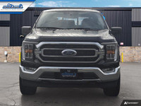 Check out this certified 2022 Ford F-150 XLT4x4 | Power Boost Hybrid | 302A Package | Trailer Tow Pa... (image 7)