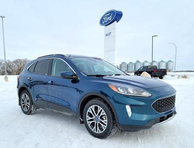 2020 FORD ESCAPE SEL AWD, 301A PACKAGE, 1.5L ECOBOOST AUTO START