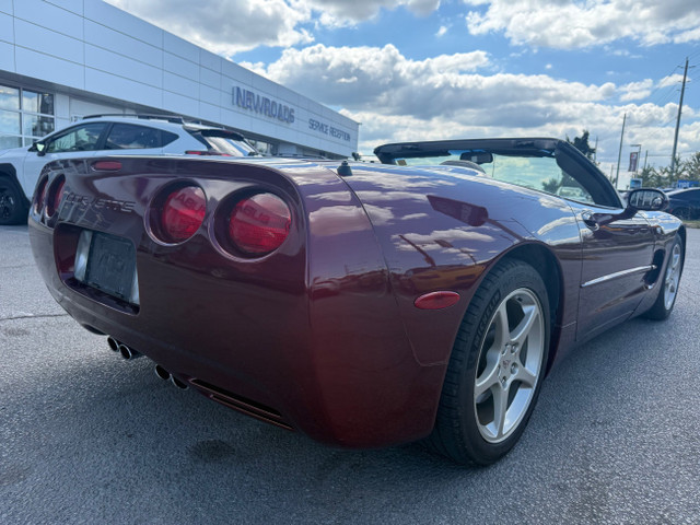 2003 Chevrolet Corvette CERTIFIED! Manual Transmission in Cars & Trucks in Markham / York Region - Image 4