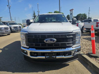 2024 Ford Super Duty F-250 SRW XL 4WD Crew Cab 8' Box, 6.8L V8 Gas, FX4 Off Road Package, Remote Sta... (image 8)