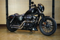 2009 Harley-Davidson XL883N