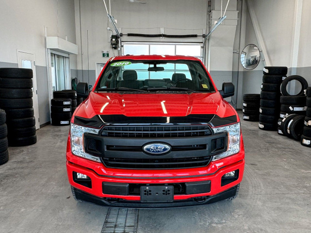 2019 Ford F-150 in Cars & Trucks in Prince Albert - Image 2